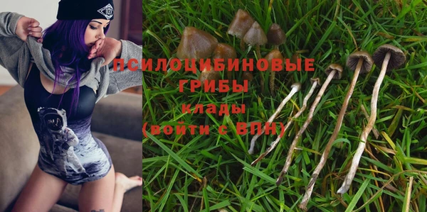 стафф Бородино