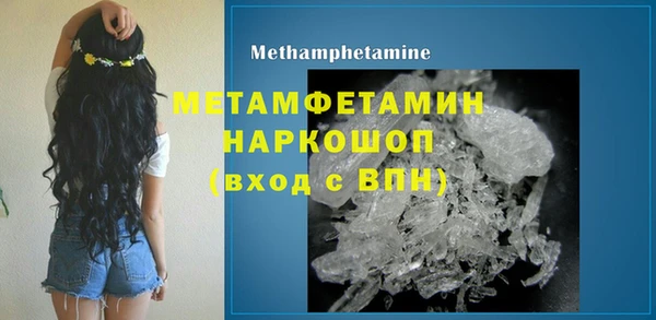 индика Бронницы