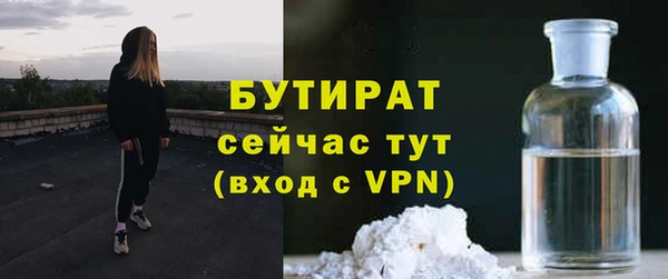 индика Бронницы