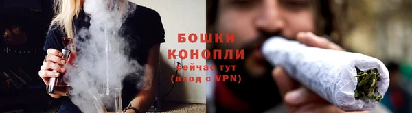гидра Верея