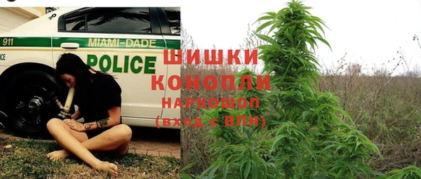 ГАЛЛЮЦИНОГЕННЫЕ ГРИБЫ Верхний Тагил