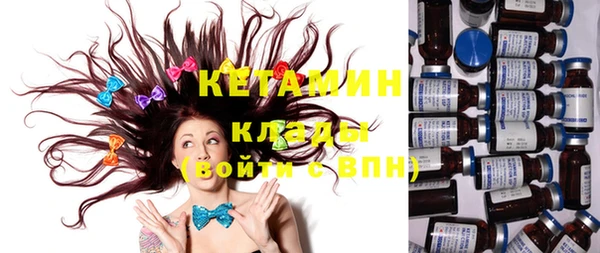 индика Бронницы