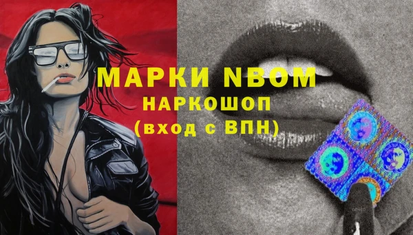 индика Бронницы
