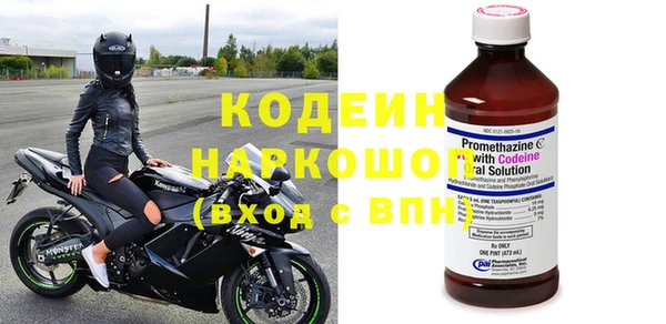 индика Бронницы