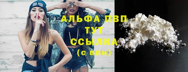гидра Верея